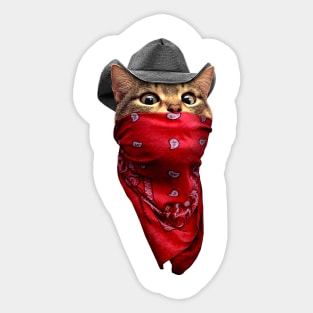 CATROBBER Sticker